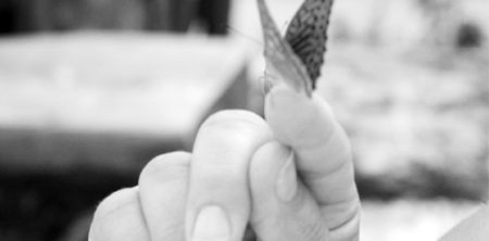 Bilancio sociale 2016