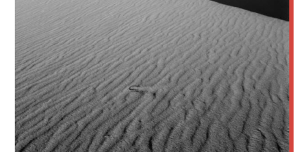 ASSEMBLEA DEI SOCI DEL CONSORZIO SOLCO CITTA’ APERTA – 12/02/2015