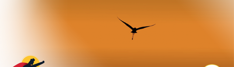 Progetto “Via Libera” – Comune di Scanzorosciate