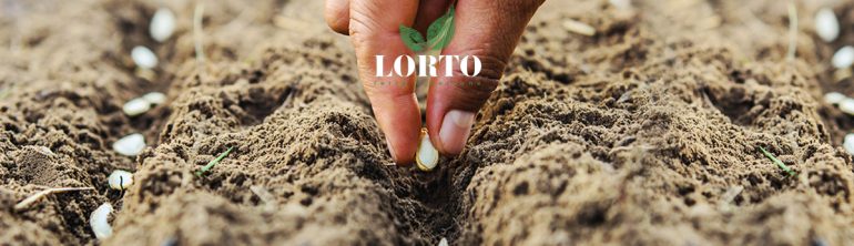 LORTO a Buongiorno Regione e sulla stampa