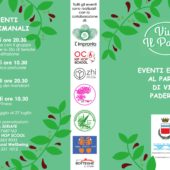 Eventi estivi al Parco di via Paderno (Seriate)